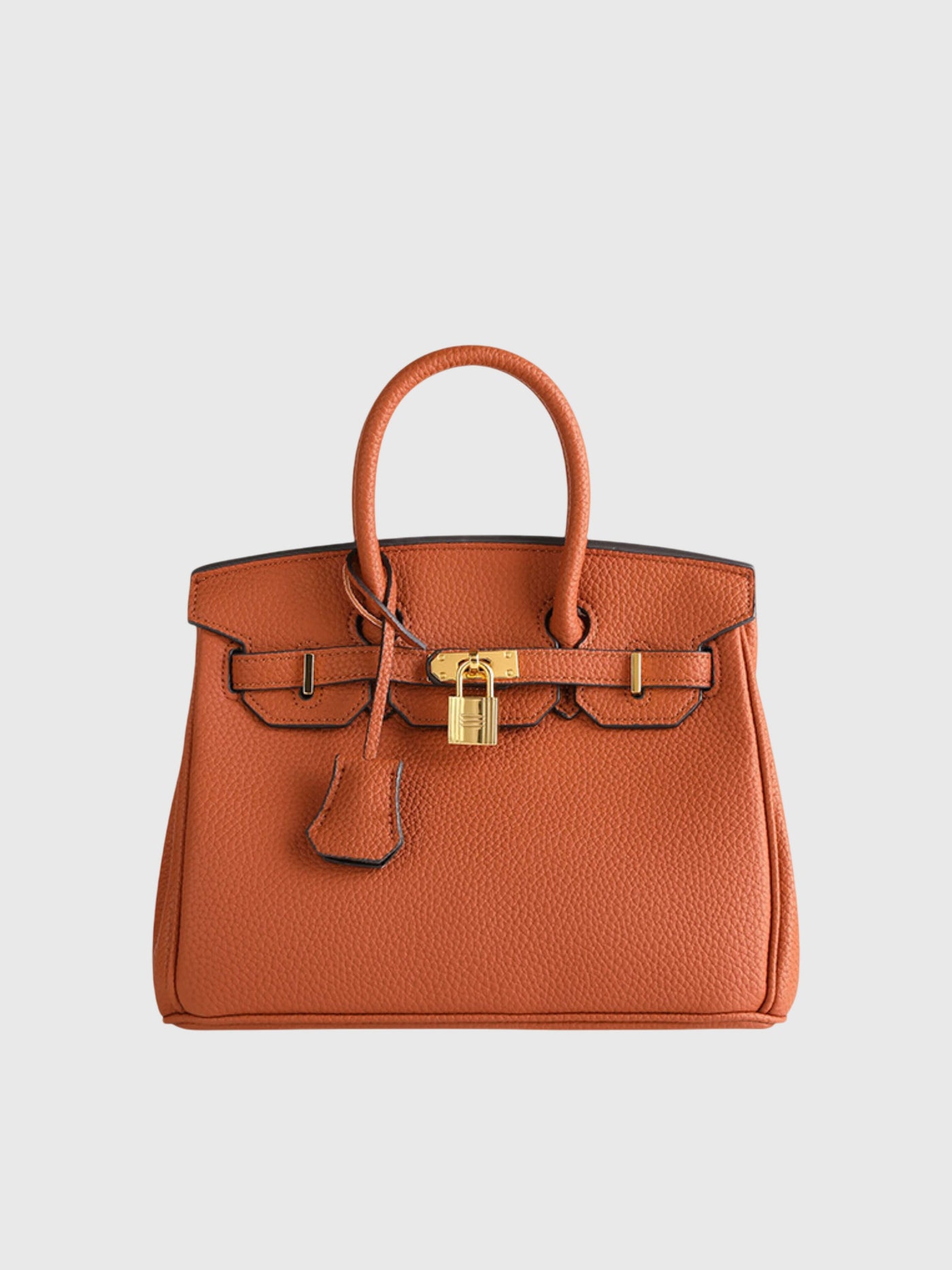 Colette - Petite Structured Lock Bag